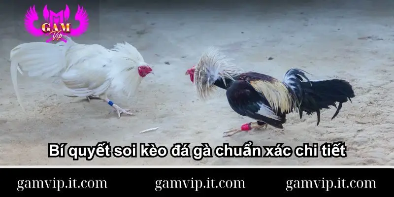 Bi-quyet-soi-keo-da-ga-chuan-xac-chi-tiet